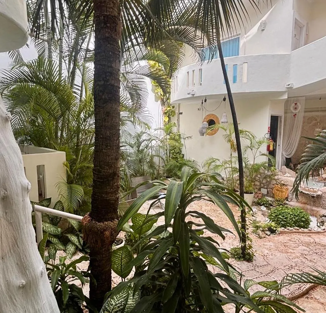 Coco Rio Hotel - Mamitas Beach Area Playa del Carmen México